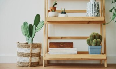 Rustic Shelving