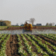 Innovative Agriculture