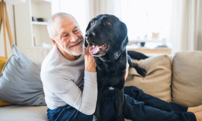 The Benefits of Pet Companionship for Seniors