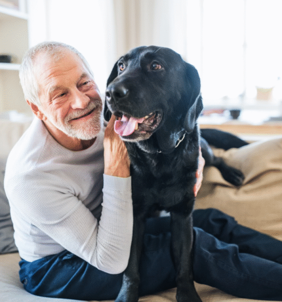 The Benefits of Pet Companionship for Seniors