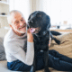 The Benefits of Pet Companionship for Seniors