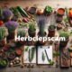 Herbciepscam