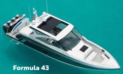 Formula 43