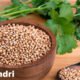 Koriandri