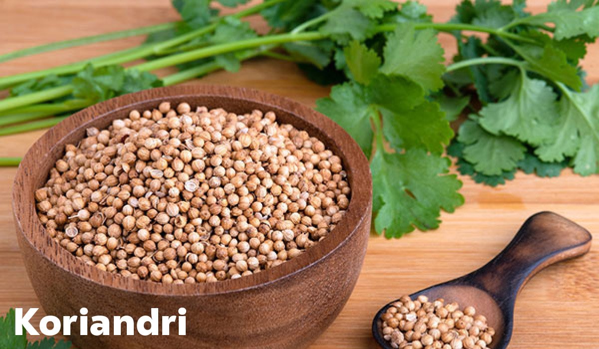 Koriandri