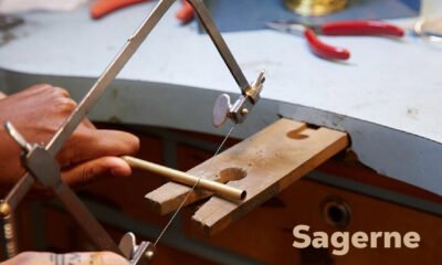 Sagerne