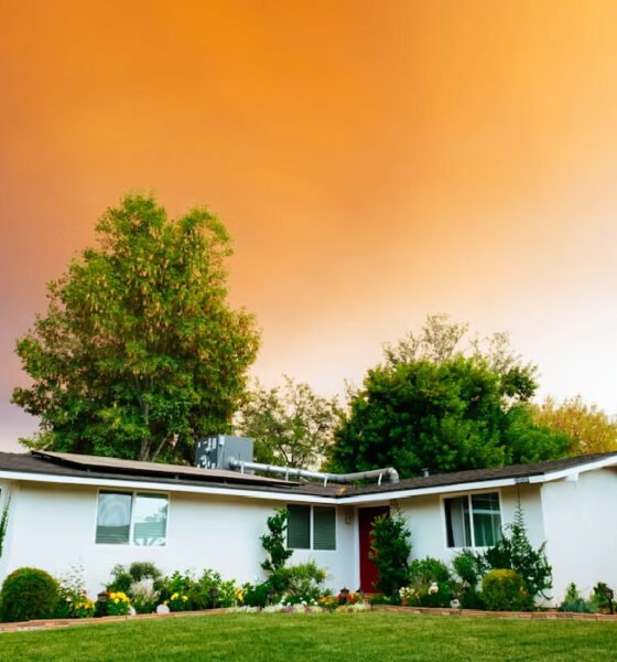 5 Essential Tips to Buy a House Overseas Without the Stress