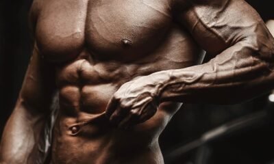 How Nutrition and Fat Metaboliser Powder Work Together Over Time