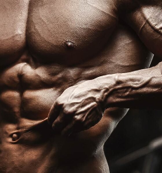 How Nutrition and Fat Metaboliser Powder Work Together Over Time