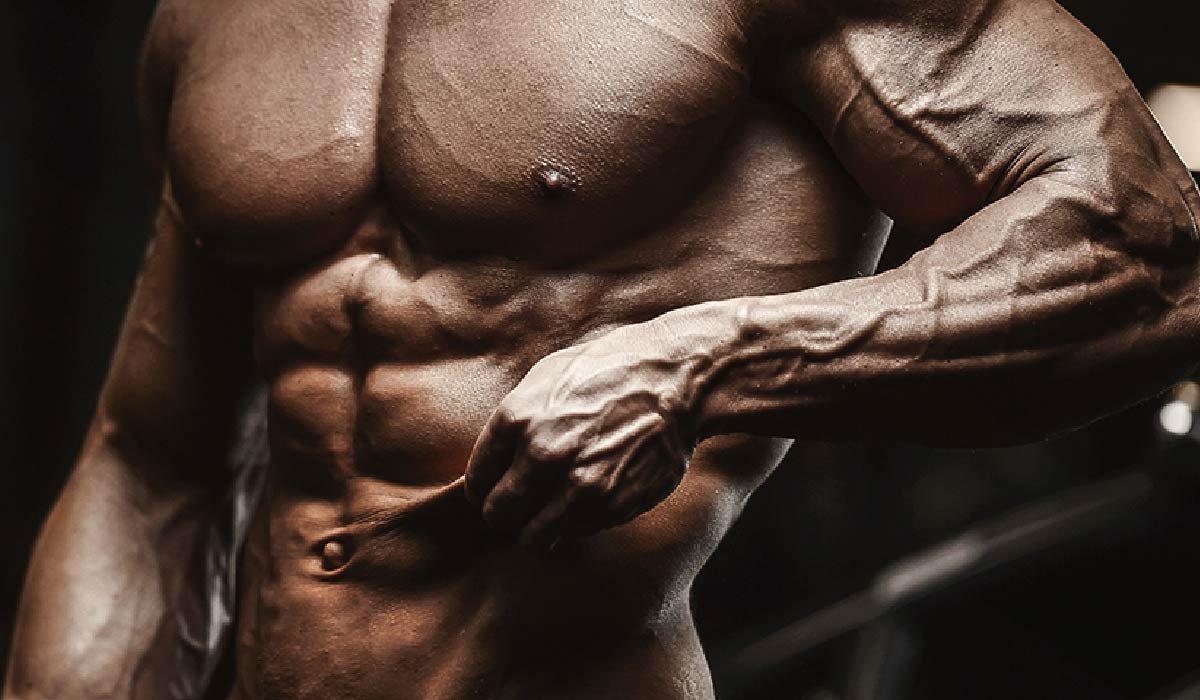 How Nutrition and Fat Metaboliser Powder Work Together Over Time