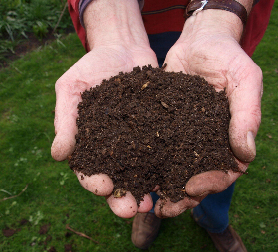 Fresh Mulch, Fresh Look: Upgrade Your Outdoor Space Today