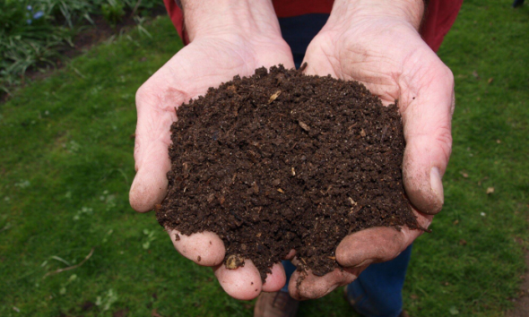 Fresh Mulch, Fresh Look: Upgrade Your Outdoor Space Today